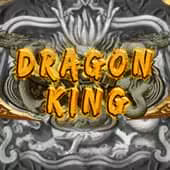Dragon King AE game cover