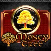 Money Tree Ameba game cover