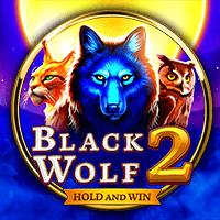 Black Wolf 2 BNG game cover