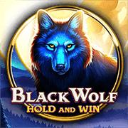 Black Wolf BNG game cover