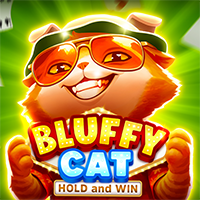 Bluffy Cat BNG game cover