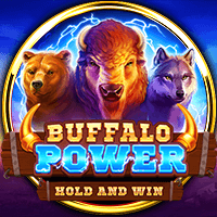 Buffalo Power BNG game cover
