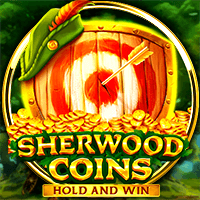 Sherwood Coins: Hold & Win BNG game cover