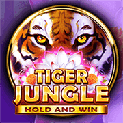 Tiger Jungle BNG game cover