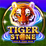 Tiger Stone BNG game cover