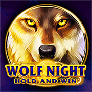 Wolf Night BNG game cover