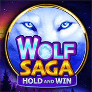 Wolf Saga BNG game cover