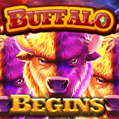 Buffalo Begins Big Pot Games game cover