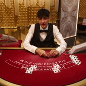 Blackjack VIP 33 Evolution game cover