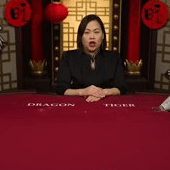 Emperor Dragon Tiger Evolution game cover