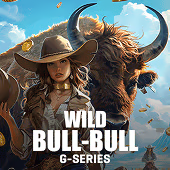 Bull-Bull Wild GFG game cover