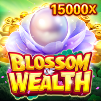 Blossom Of Wealth JDB game cover