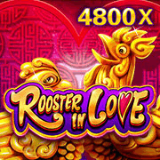 Rooster In Love JDB game cover