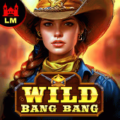 Wild Bang Bang MNC game cover