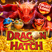 Dragon Hatch PG game cover