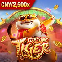 Fortune Tiger Pocket Games game cover