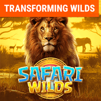 Safari Wilds Pocket Games game cover