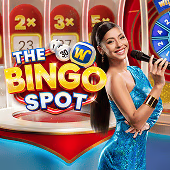 The Bingo Spot Pragmatic Play game cover