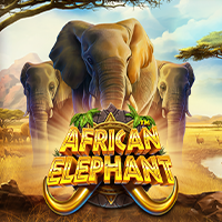 African Elephant Pragmatic Play game cover