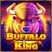 Buffalo King Pragmatic Play game cover