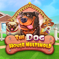 The Dog House Multihold Pragmatic Play game cover