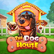 The Dog House Pragmatic Play game cover