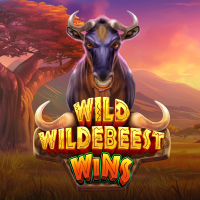 Wild Wildebeest Wins Pragmatic Play game cover