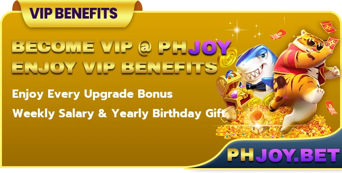 PHJoy VIP Privileges